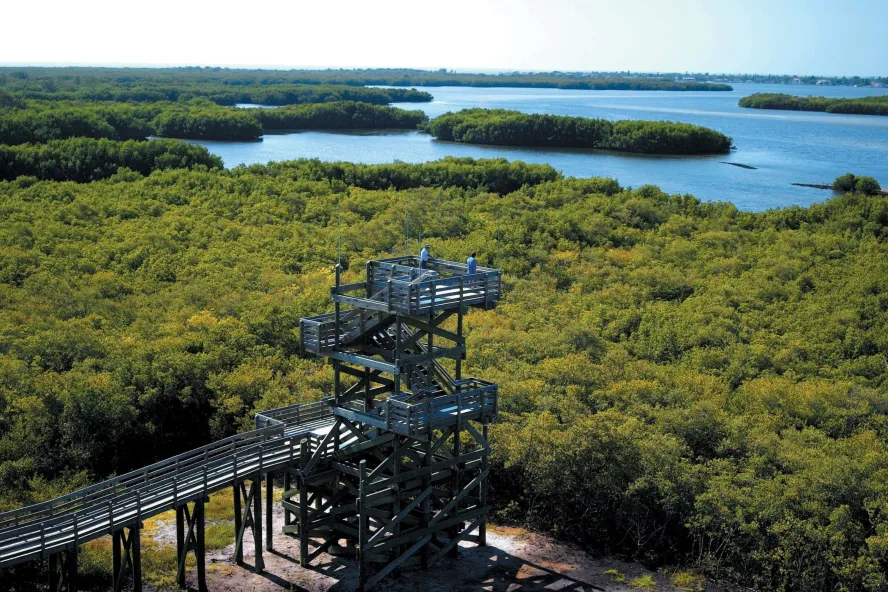A wide angle shot of the overlook tower at Weedon Island