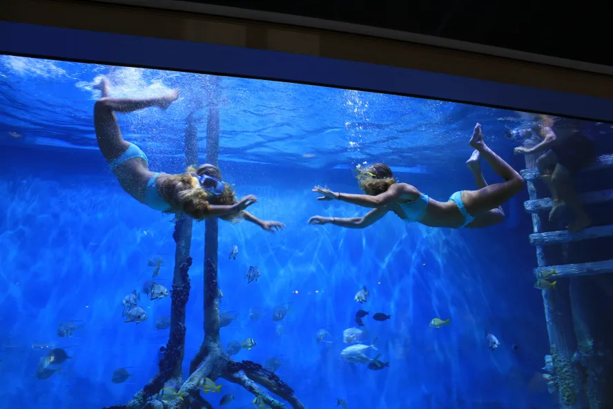 Three children with in a fish tank at the RumFish Grill