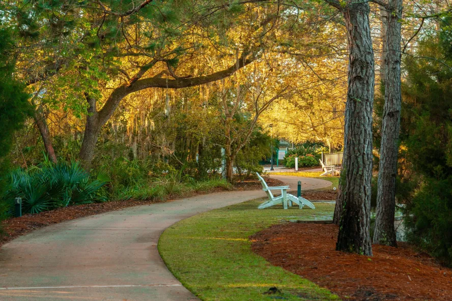 A pathway through Florida Botanical Gardens with lots of trees and a chair