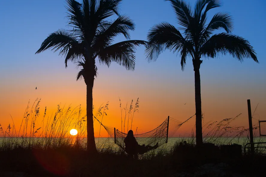 A lady relaxing in a hammock hanged between two palm trees during sunset in Madeira Beach