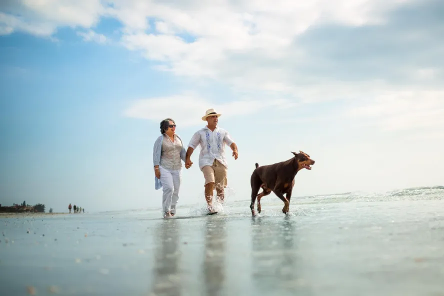 Um casal caminhando pela praia em águas rasas com um cachorro grande.
