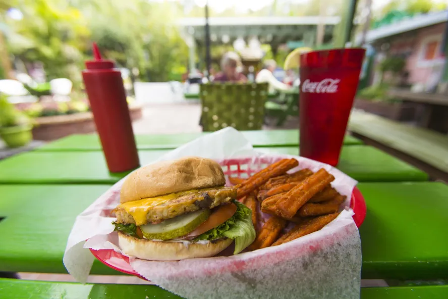 A turkey burger at the Chattaway in St. Pete
