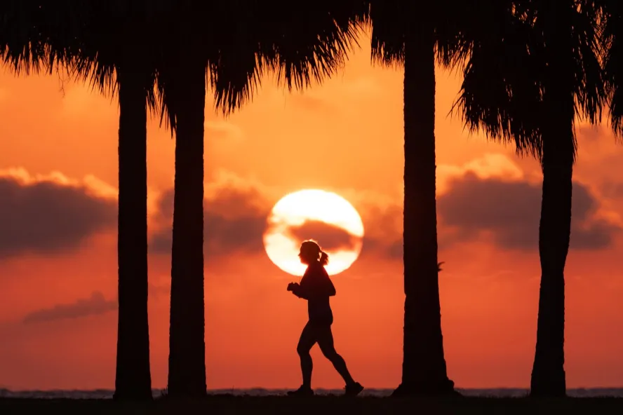 A woman runs North Bay Trail at Vinoy Park during sunrise