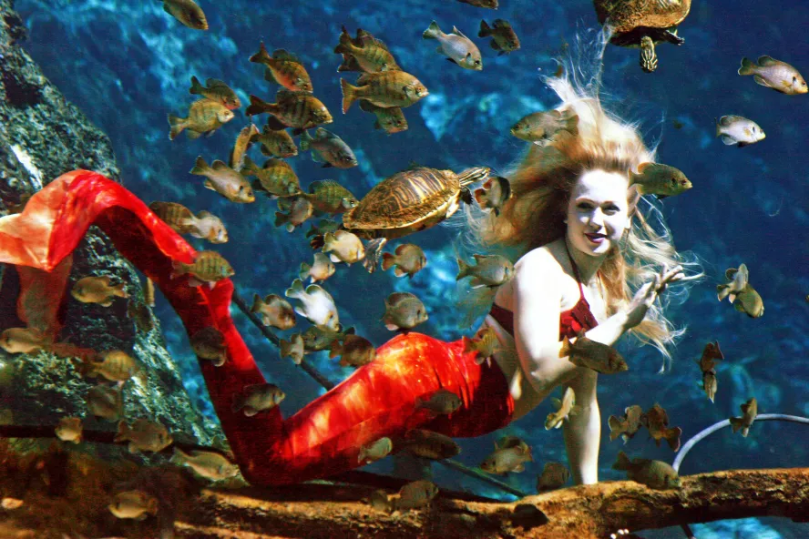 A mermaid strikes a pose in the Weeki Wachee River near St. Pete/Clearwater