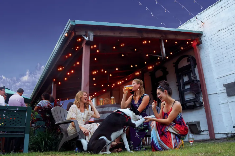 Ladies enjoying drinks with their dog seating in the lawn outside of Green Bench Brewery.