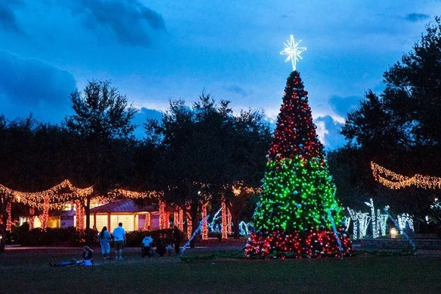 Largo Tree Lighting