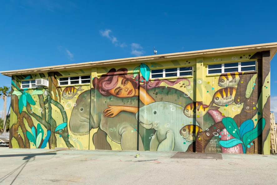 Image of huge outside mural in St. Pete FL shows a female with purple hair swimming with manatees featuring a yellow background.