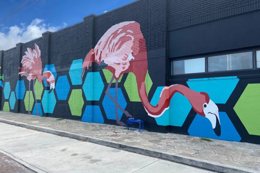 Street mural by Amy Williams and Taylor Waldmann in St. Pete, FL featuring giant pink flamingos and blue and green hexagons painted on a dark blue wall background.