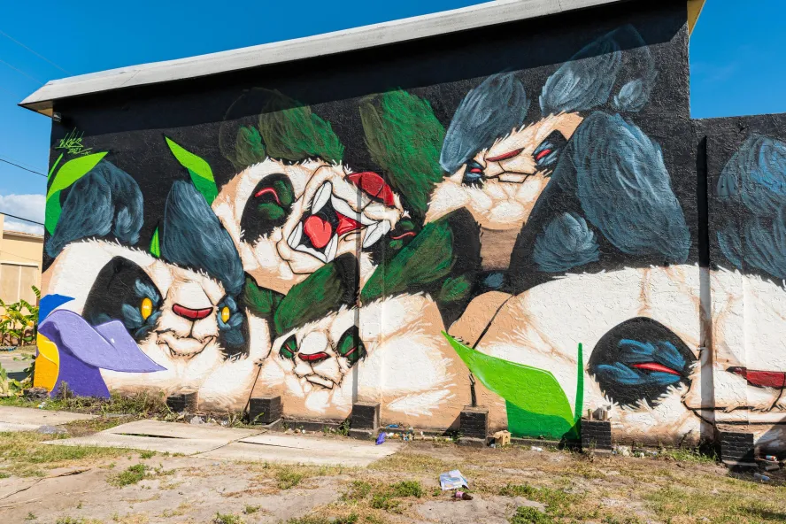 a colorful mural of pandas called kung fu pandas by artist Woes Martin in St. Pete's Warehouse Arts District