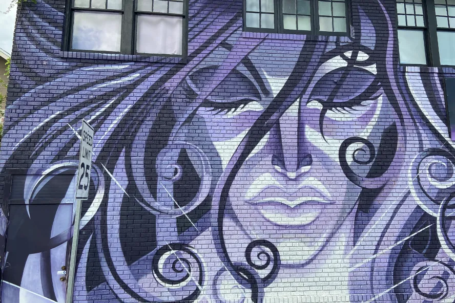 Outside wall mural in the MLK north district in St. Pete, FL featuring a purple lady's face painting with curly hair. Her eyes are closed and her face takes up the entire outside brick wall.