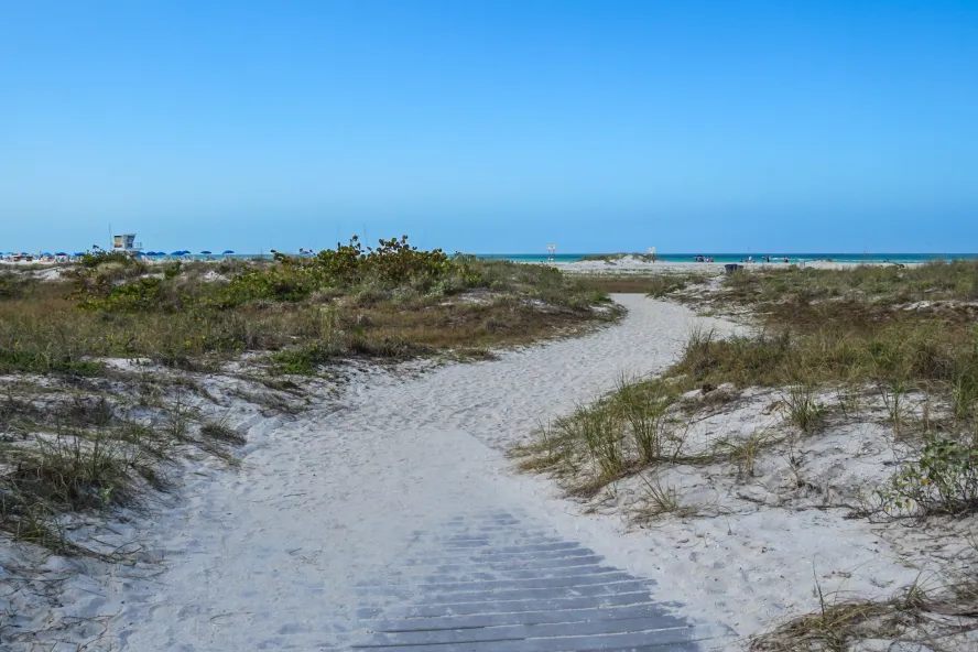 a sandy boardwalk leads to a sand path lined with dunes and vegetation at Sand Key Park