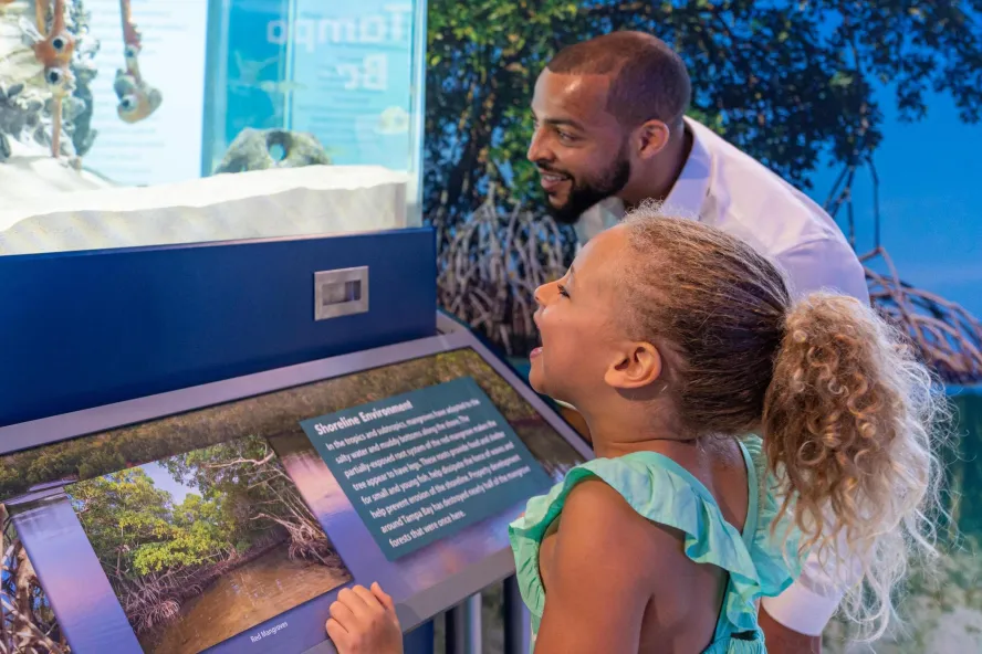A girl and her dad look at an exhibit of marine life at the Tampa Bay Watch Discovery Center.