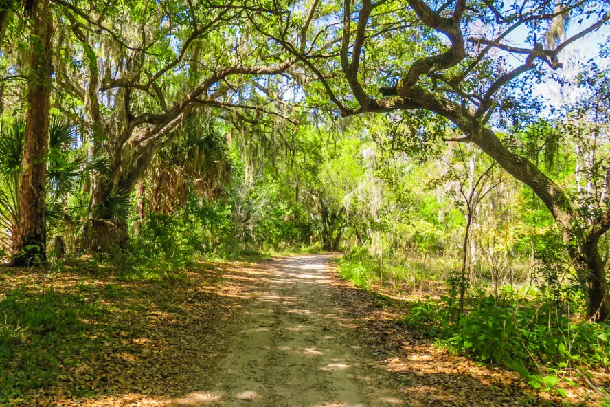 A tree shaded path at Boyd Hill Nature Preserve.