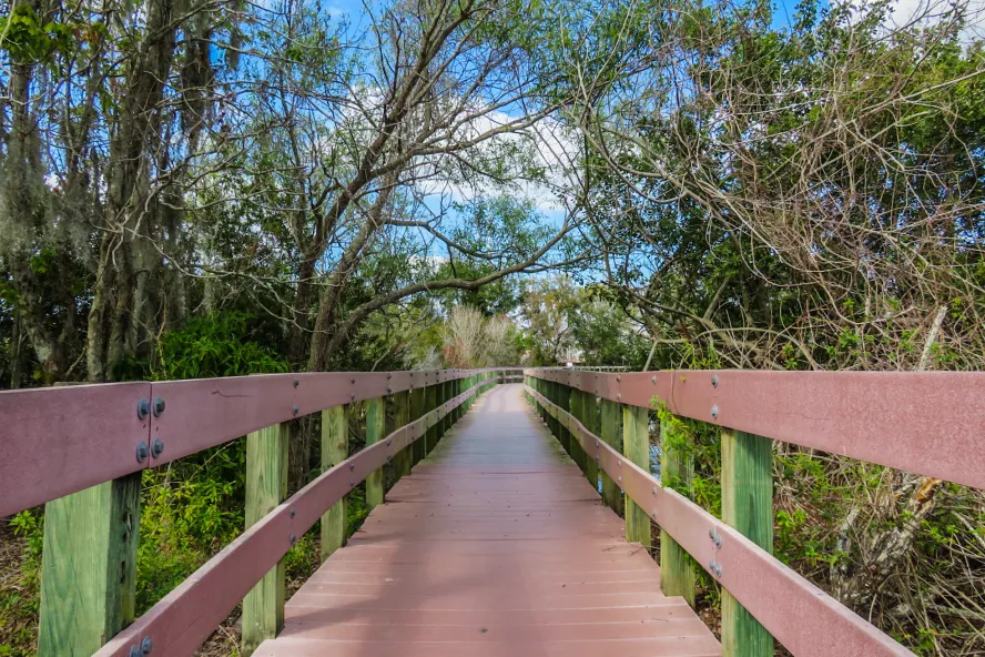 A raised boardwalk with side rails in Central Park Nature Preserve.