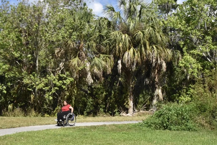 Woman in wheelchair rolls along paved path through park