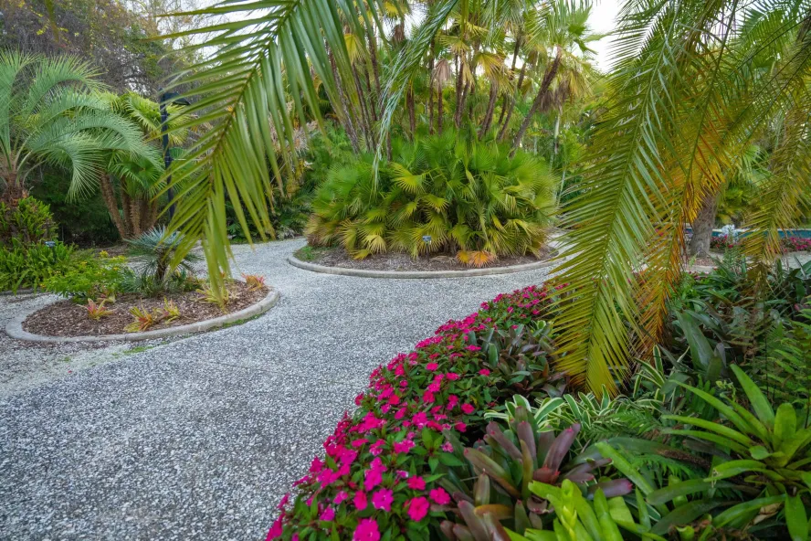 Florida Botanical Gardens paths and gardens