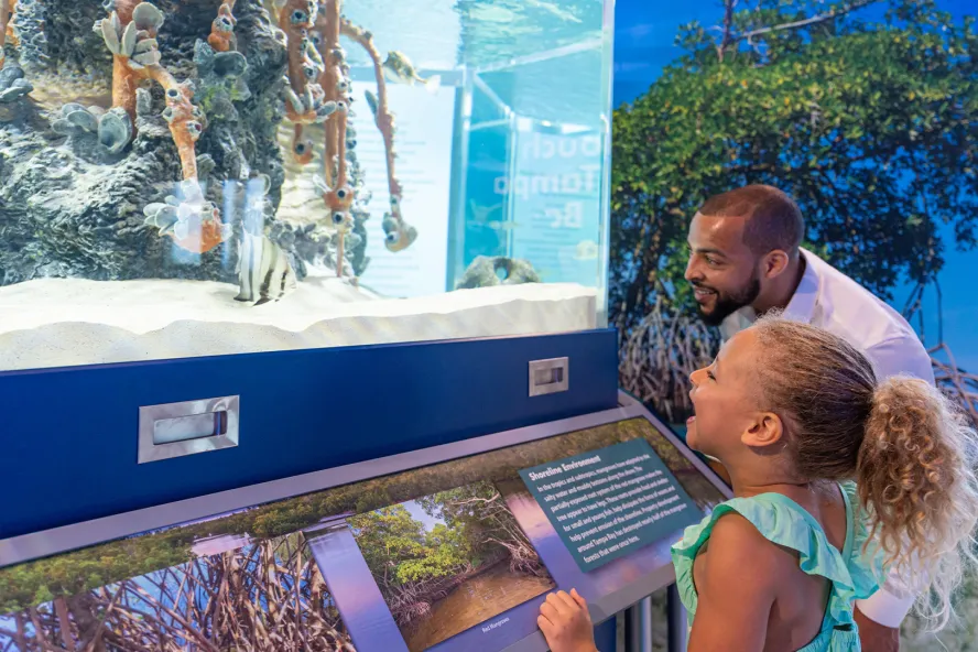 father and daughter looking at the coral in an aquarium 
