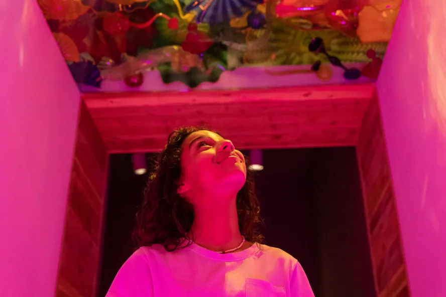 a person in a pink shirt walks underneath a ceiling made of art glass at The Chihuly Collection