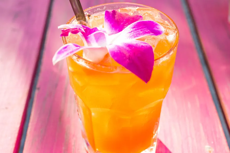 a fruity drink in a tall glass with a pink and white orchid and a straw on a pink table at Mullet's Fish Camp