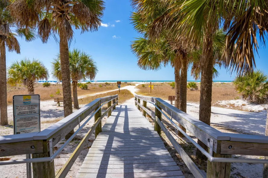 A wooden boardwalk leads past palm trees to the beach.