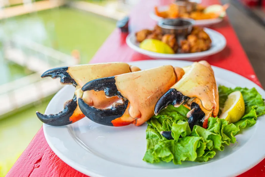 Cooked stone crab claws on a plate with lettuce garnish