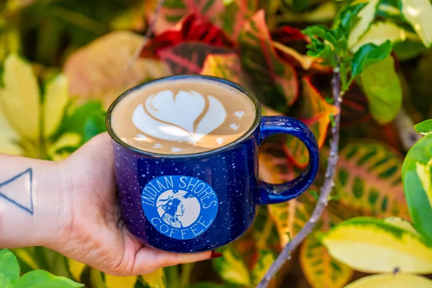 an artful latte in a blue coffee cup with a logo for Indian Shores Coffee Co surrounded by crotons and other lush plants