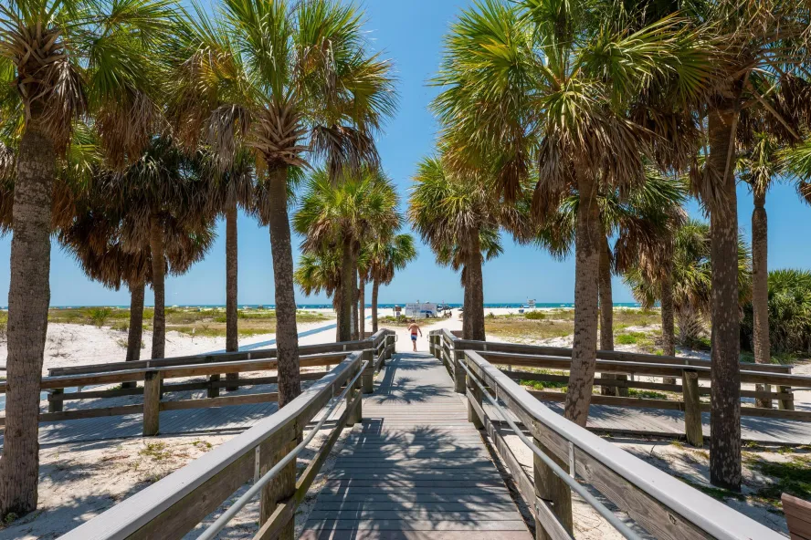 A beach boardwalk shaded by palm trees at Sand Key Park on a sunny day.