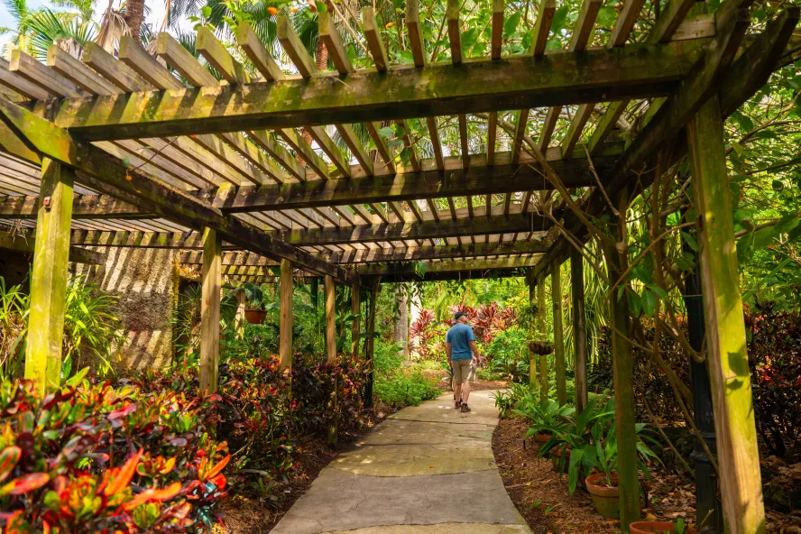 walking path