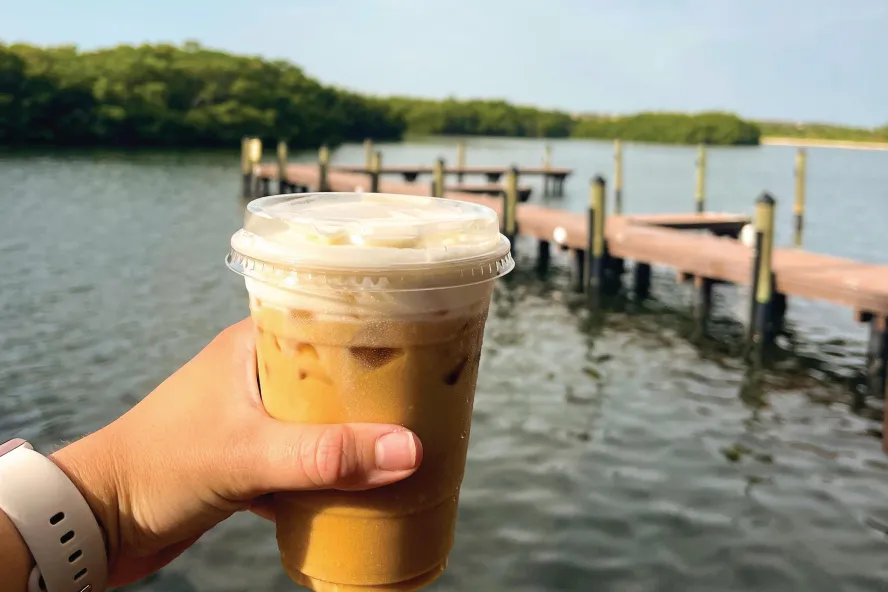 a person holds an iced coffee in their hand with a view of the water, a dock and mangroves