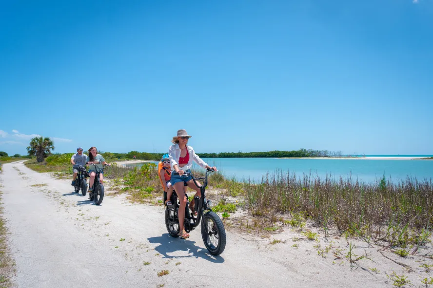 beach bikes