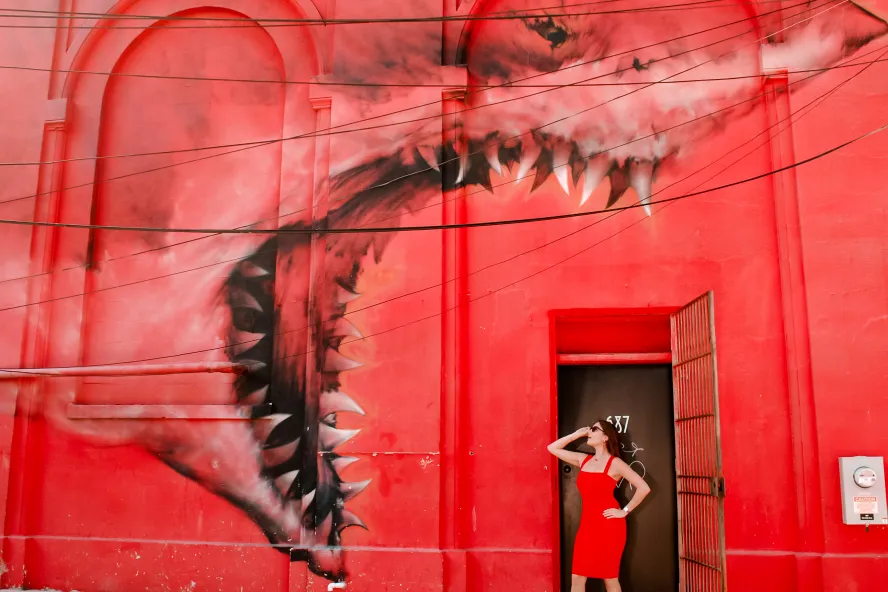shark mural red 