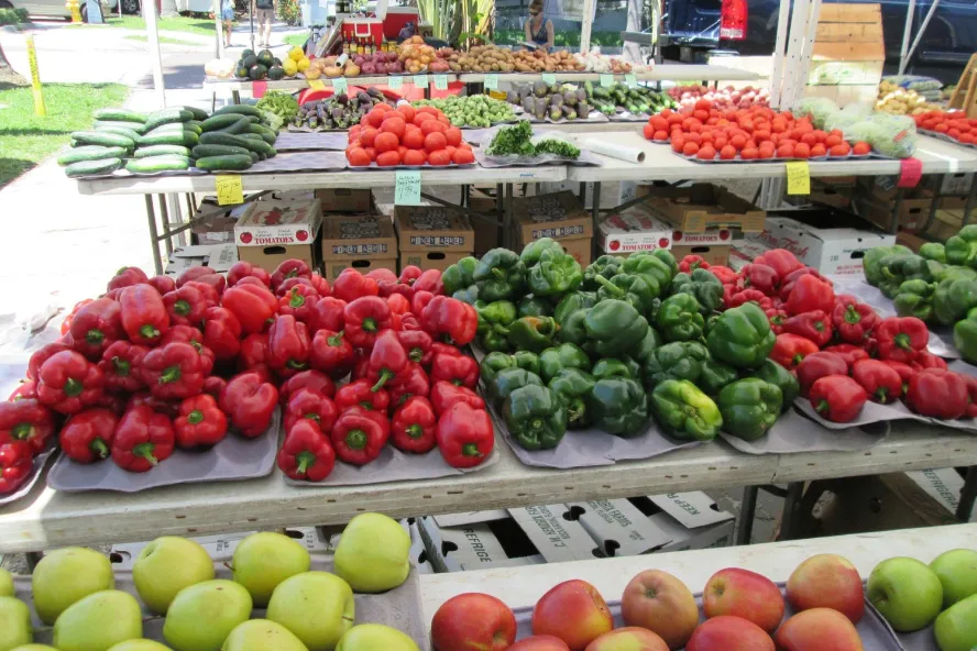 Gulfport Tuesday Market featuring fresh produce.