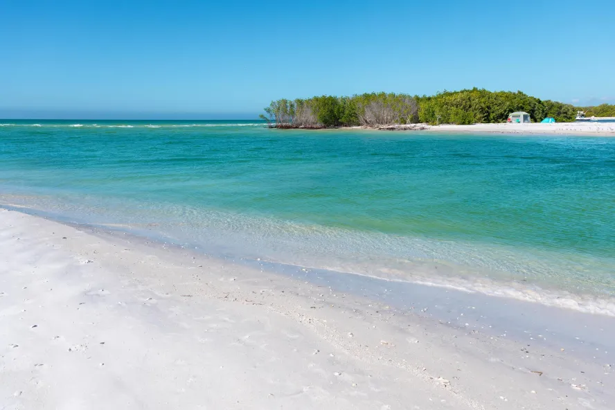 a beautiful beach across from Shell Key Preserve, an island where two tents are set up next to mangroves and other trees