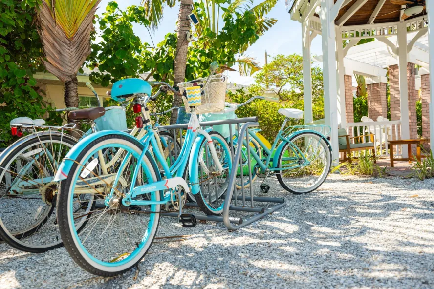 bikes at a bike rack in the shade of palm trees at Coconut Inn in Pass-a-Grille Beach