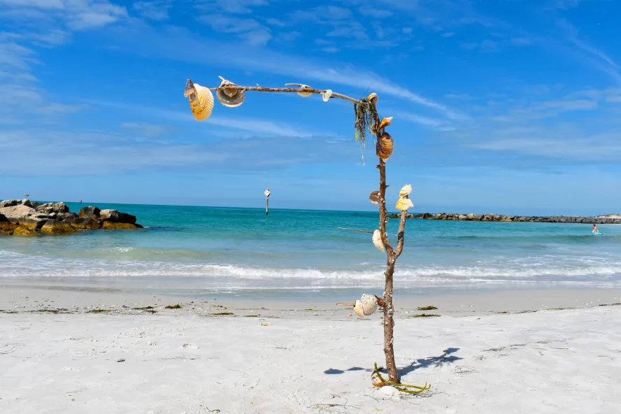 a branch placed in the sand with shells adorning it at Upham Beach