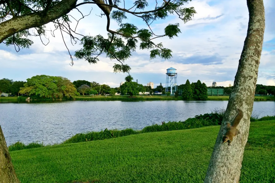 a view of a grassy area and Crescent Lake with a water tower in the far distance; a squirrel is climbing on a palm tree