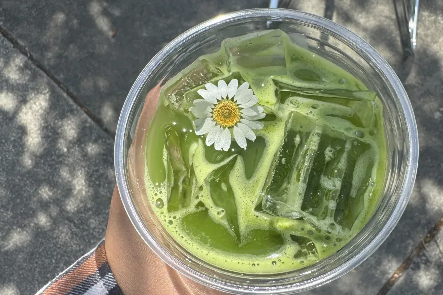 a clear plastic cup with iced matcha topped with a white and yellow flower at Daycation coffee.