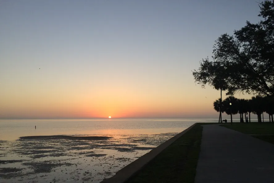 sunrise over Tampa Bay at Flora Wylie Park in St. Petersburg