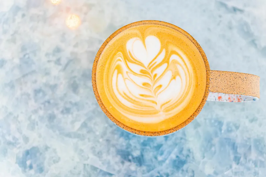 a view of a mug of hot latte with a delicate design
