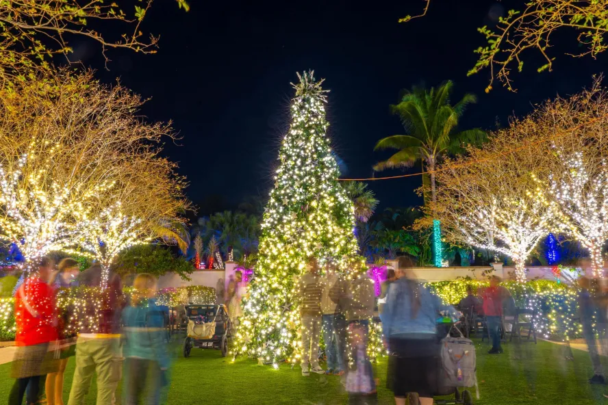 people admiring a lighted Christmas tree and other light displays at Holiday Lights in the Gardens in Largo