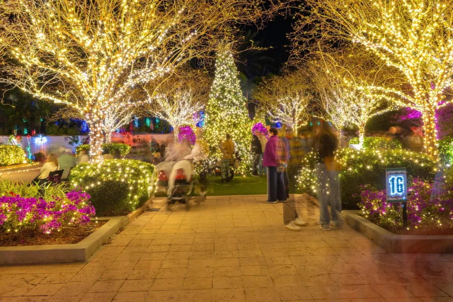 people strolling through Holiday Lights in the Gardens at Florida Botanical Gardens in Largo