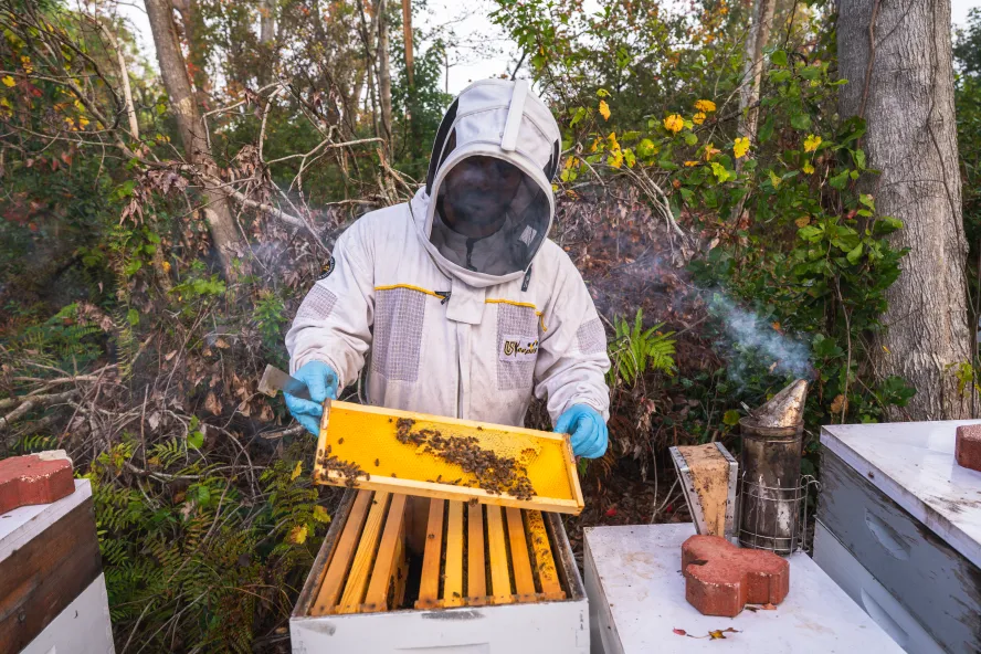 beekeeper