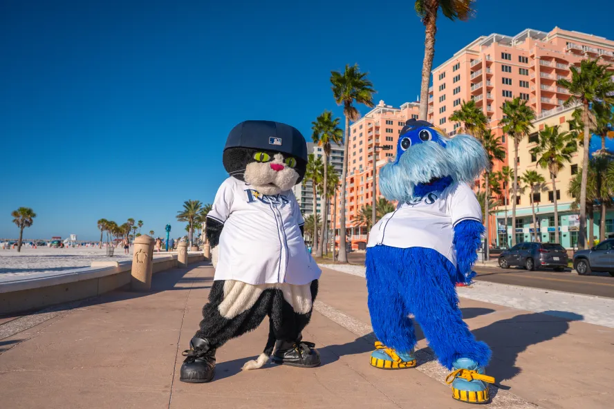 The Rays Mascots on the Beach in Clearwater