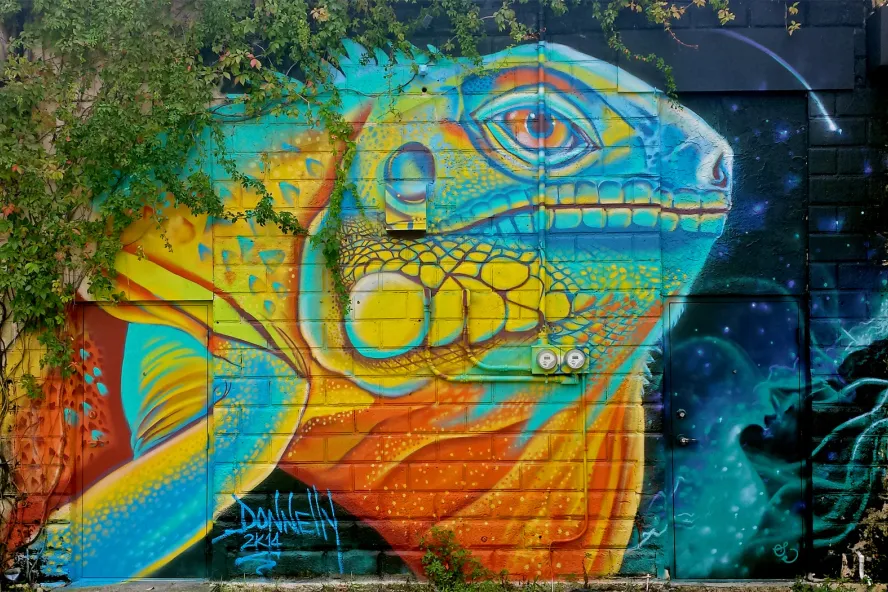 Mural of an iguana