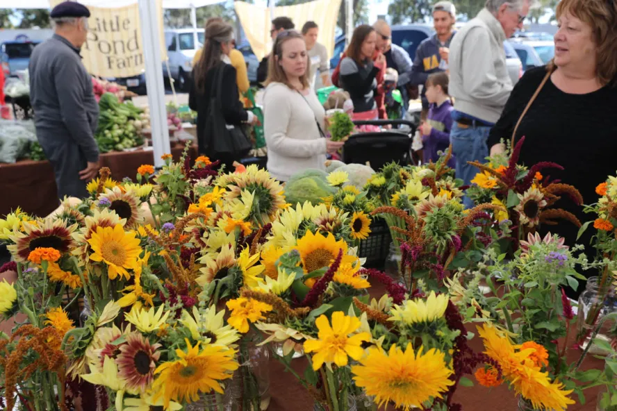Fresh flowers on display