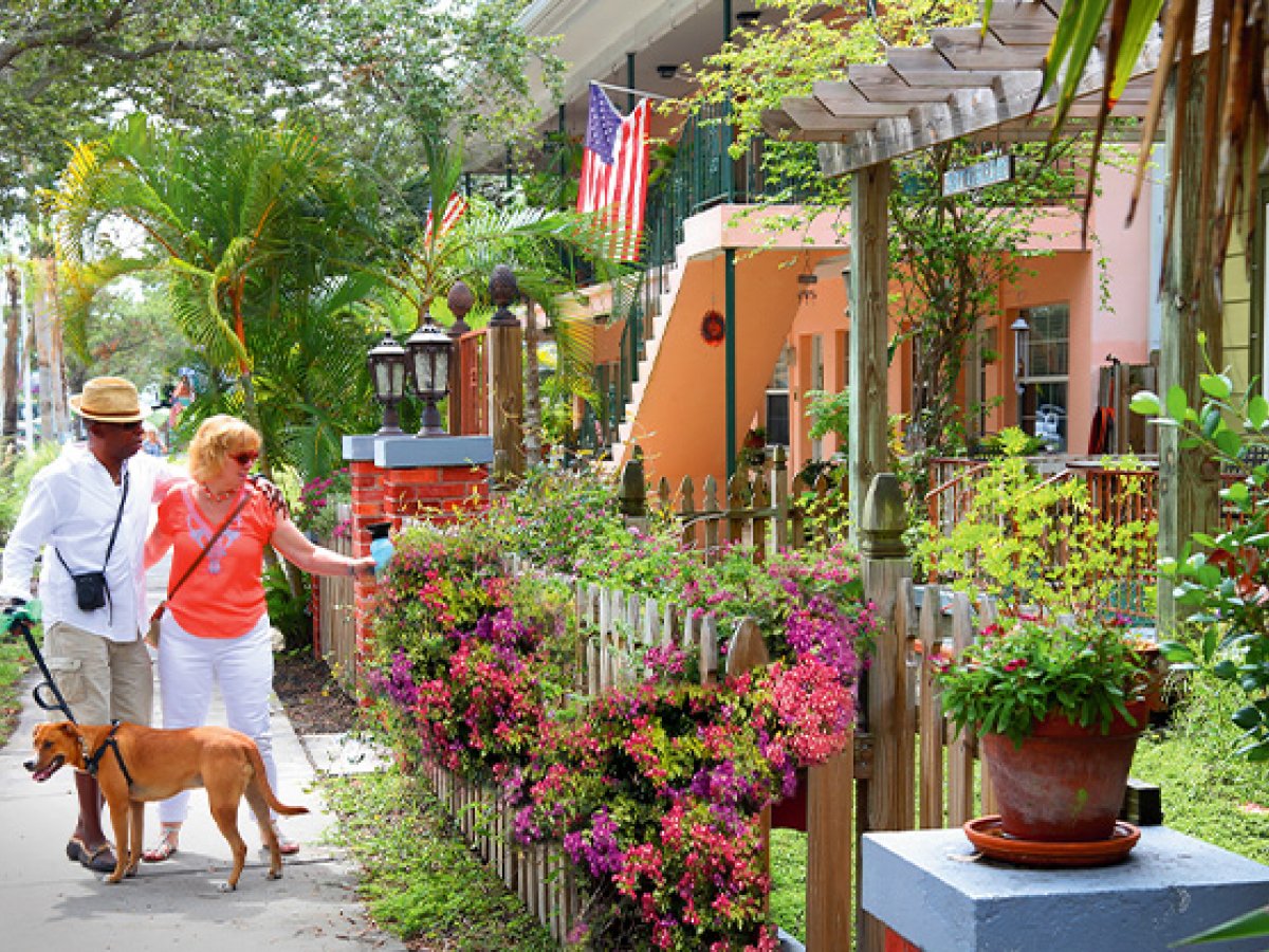 A couple walking their dog in a beautiful street of Gulfport