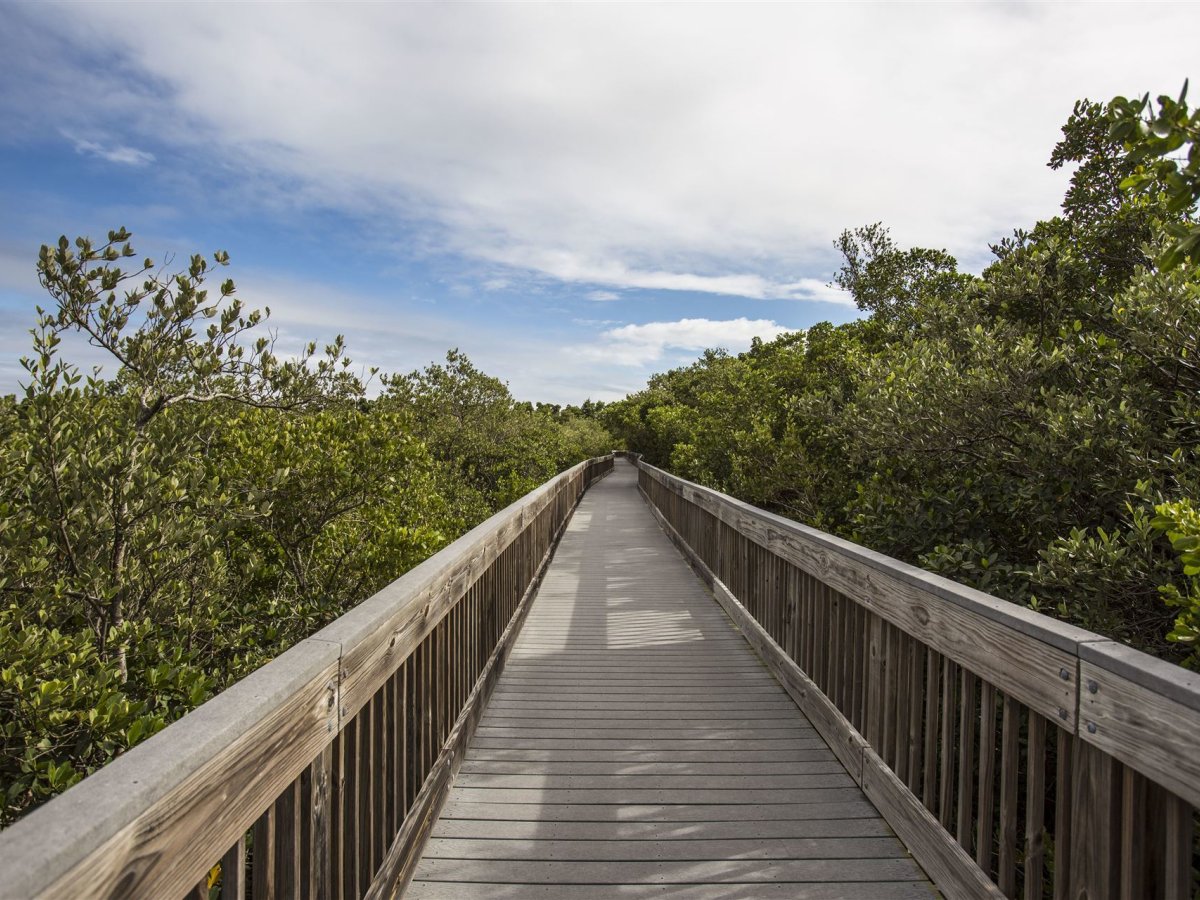 A shot of the Weedon Island Preserve boardwalk