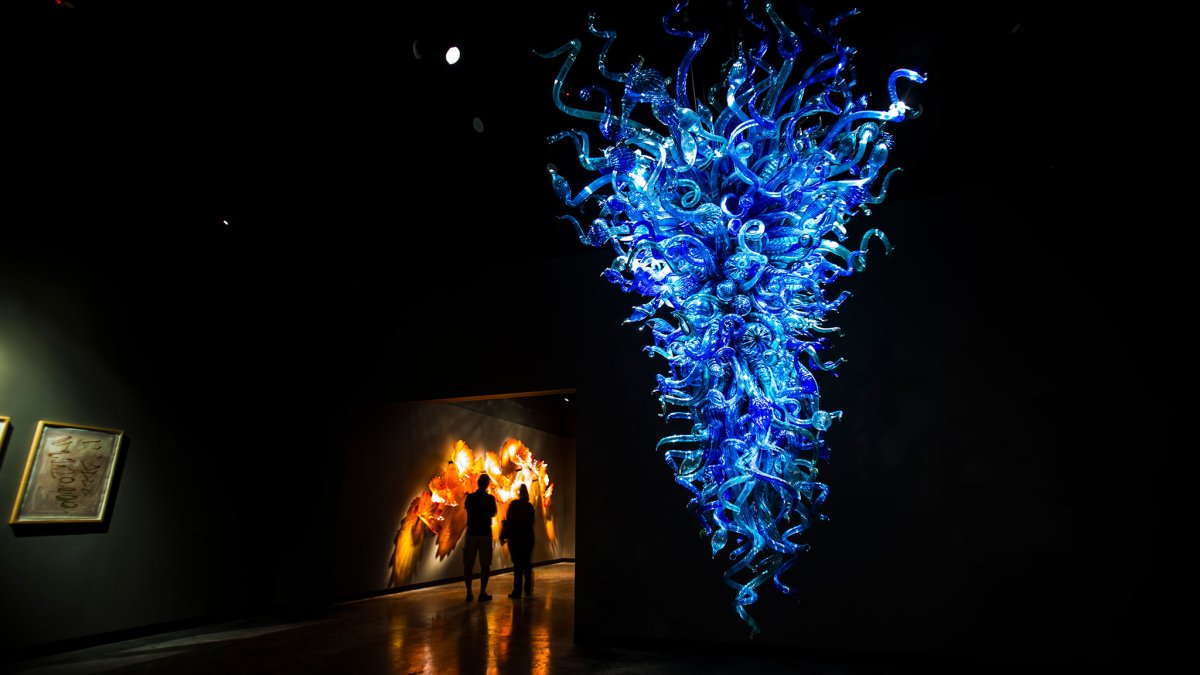 A dramatic deep-blue glass sculpture hanging from the ceiling at the Chihuly Collection in St. Pete