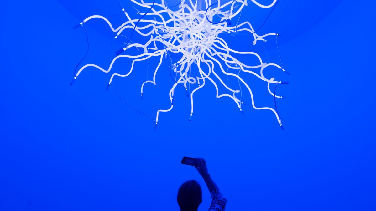 A visitor photographs one of Chihuly's glass sculpture - this one is white, unusual for Chihuly.