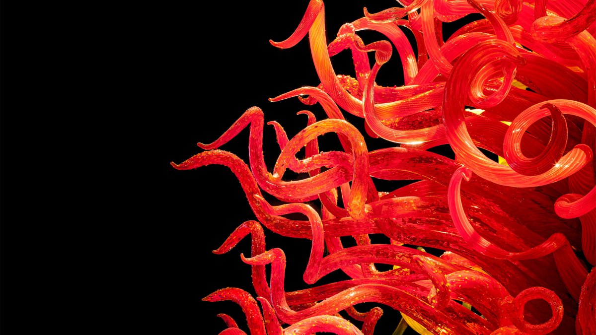 Visão aproximada de uma escultura de vidro vermelho torcido criada por Dale Chihuly, na Chihuly Collection em St. Pete